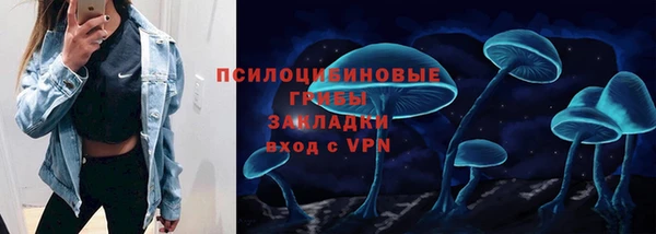 бутират Алексин