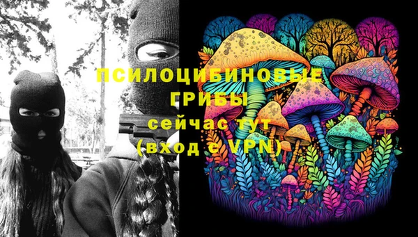 ГАЛЛЮЦИНОГЕННЫЕ ГРИБЫ Алексеевка