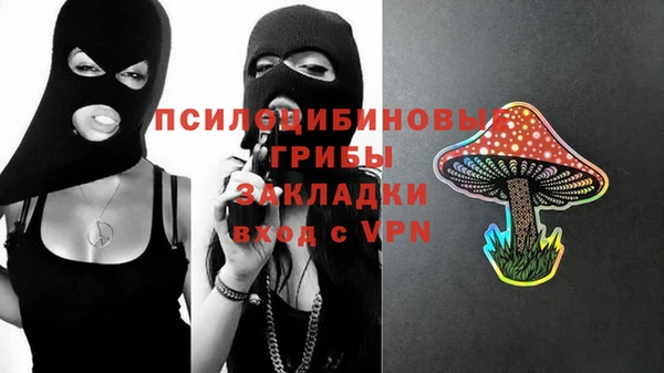 ГАЛЛЮЦИНОГЕННЫЕ ГРИБЫ Алексеевка